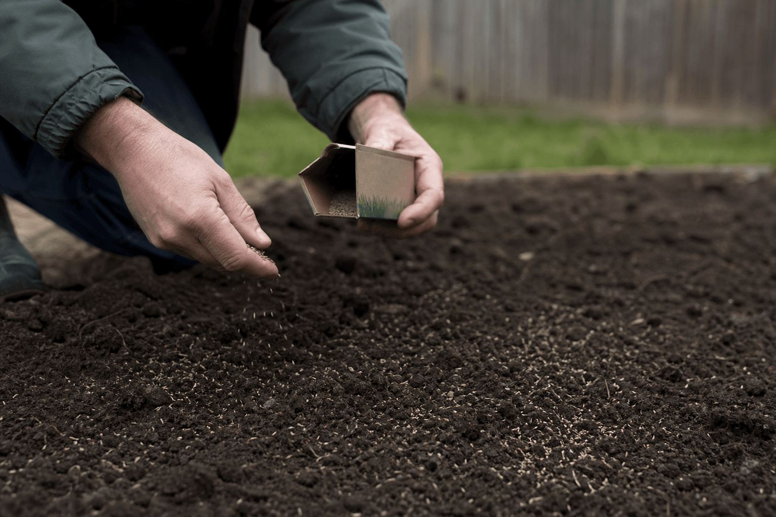 Hands sowing grass seed over freshly raked soil in a UK garden