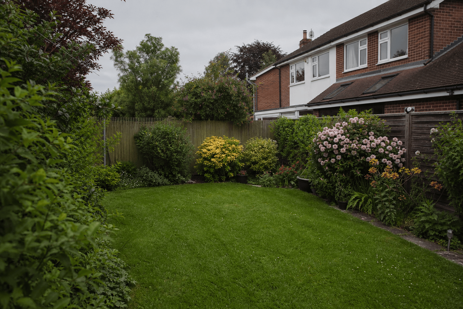 UK suburban back garden with mowed lawn and borders in spring daylight