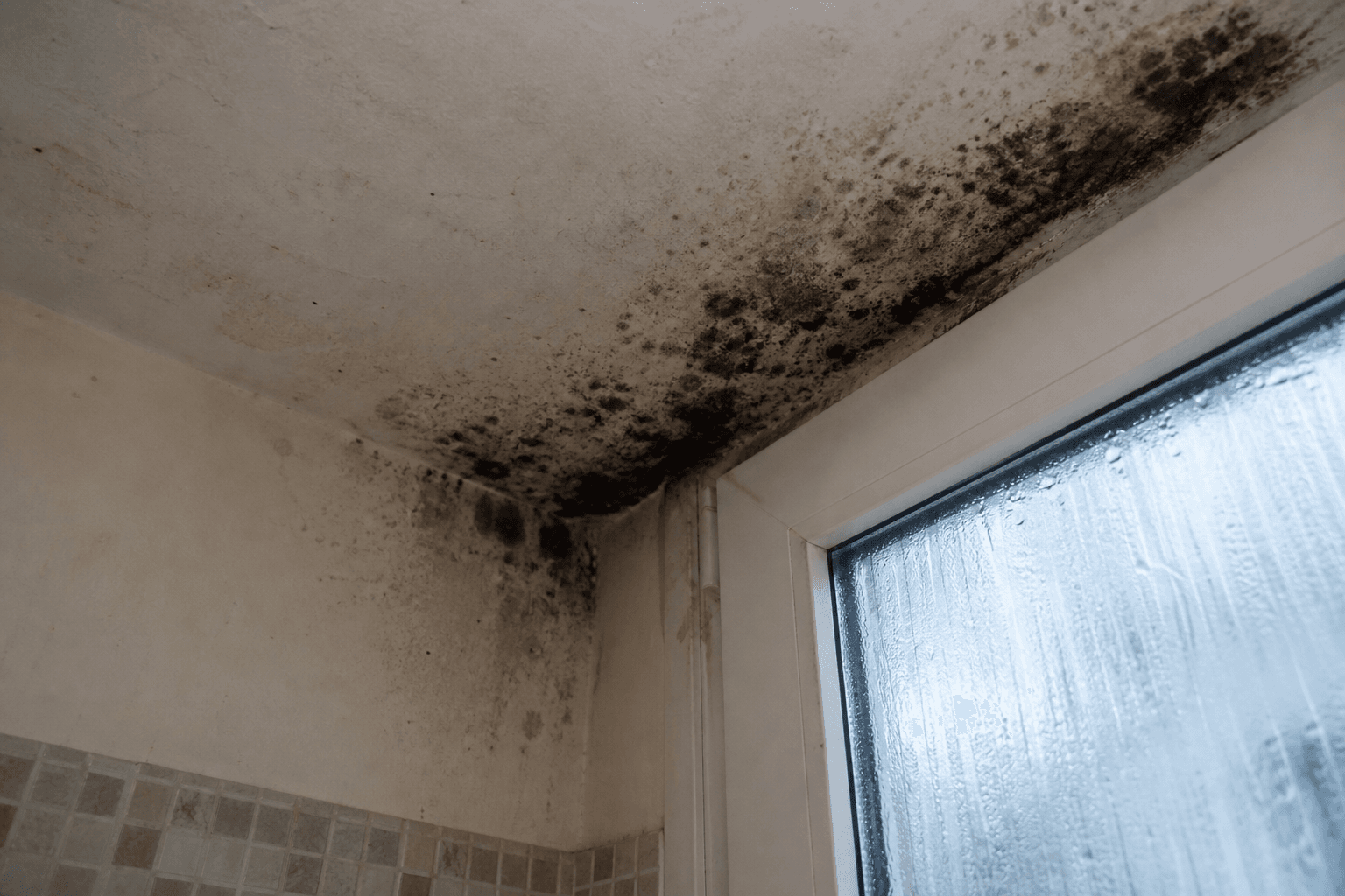 Mould on UK bathroom ceiling [dedupe:taskino:blog:house-cleaning-the-complete-uk-homeowner-s-guide:inline-2]