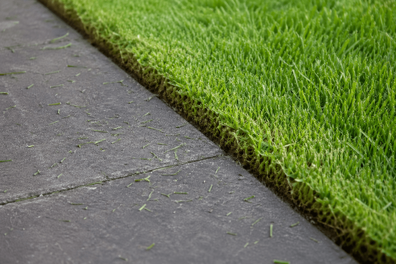 Neat UK lawn edge along paving after mowing [dedupe:taskino:blog:starting-lawn-care-bare-minimum-uk:inline-2]