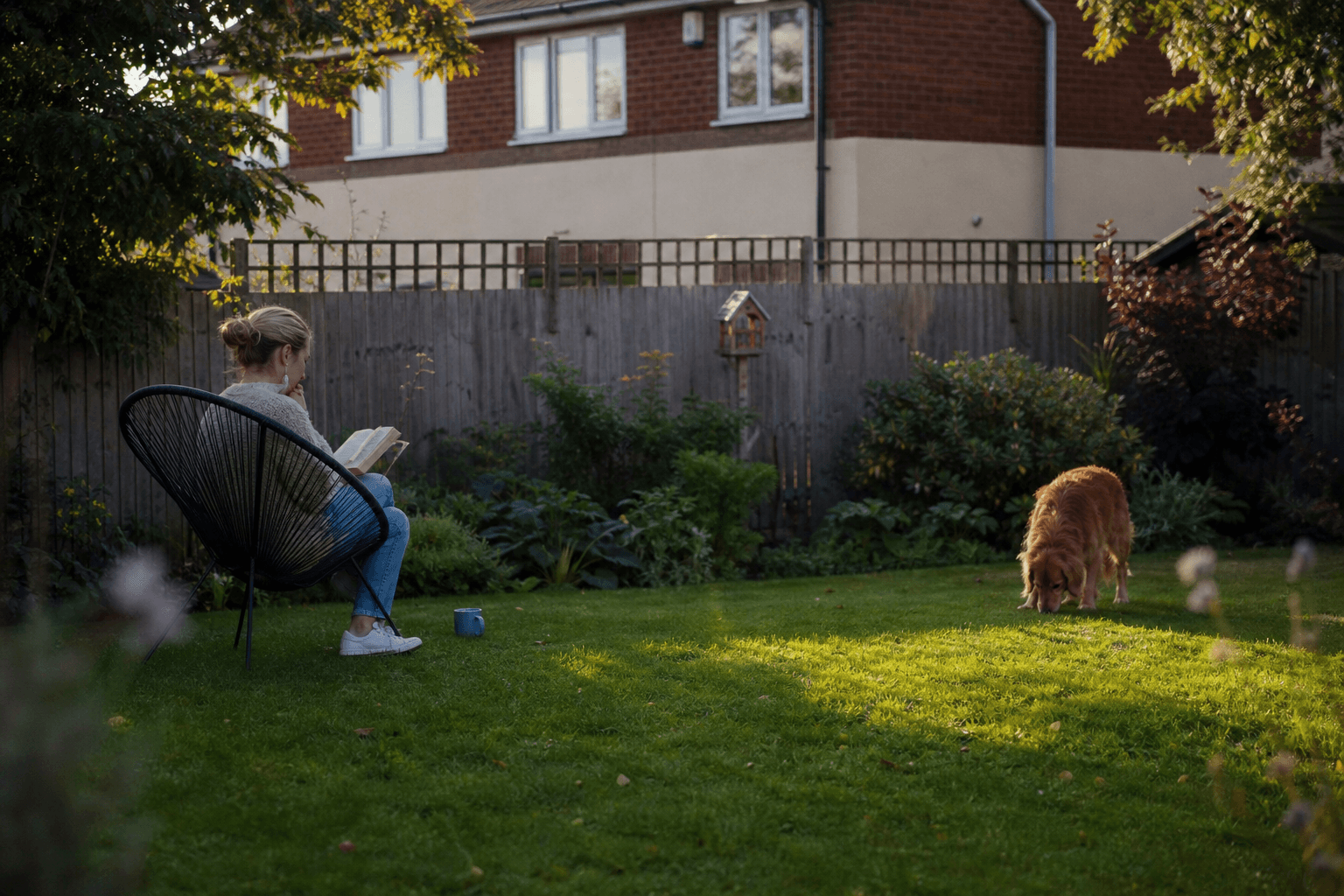 UK suburban back garden with green lawn in soft September afternoon light